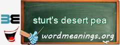 WordMeaning blackboard for sturt's desert pea